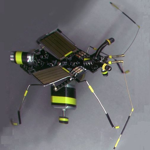 Robot Fly