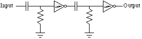 2 Nv neurons, head-to-tail